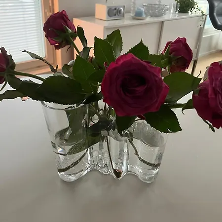 Seaside Lux * 투르쿠